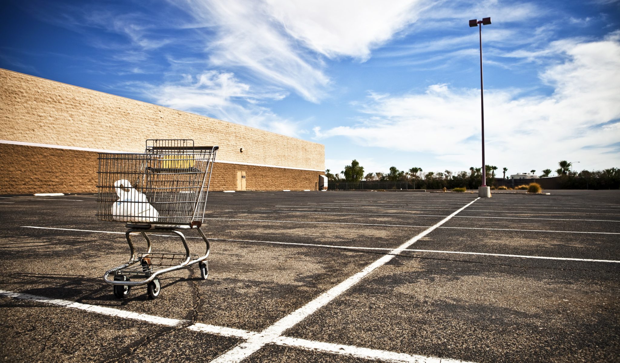 Abandoned Shopping Cart